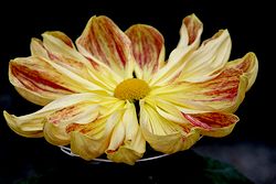 IMG_8511.jpg