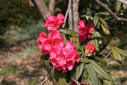 IMG_1315.jpg
