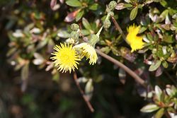 IMG_1319.jpg
