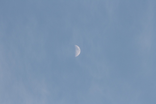 Moon.jpg