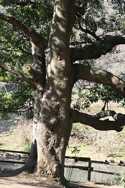 IMG_0101.jpg