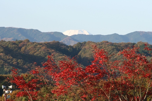 富士山を望む.jpg