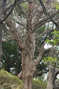 IMG_0917.jpg