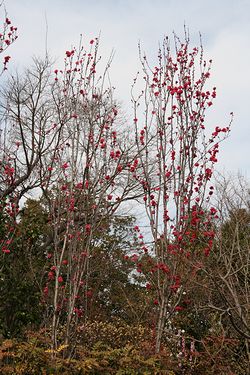 IMG_1474.jpg