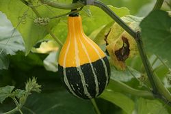 IMG_4374.jpg