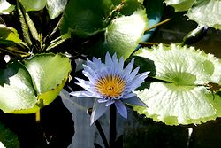 IMG_0275.jpg