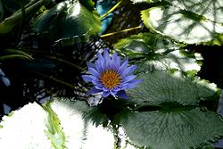 IMG_0277.jpg
