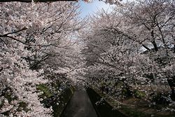 IMG_1511.jpg