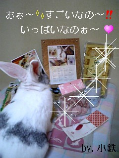 usagi 432.jpg