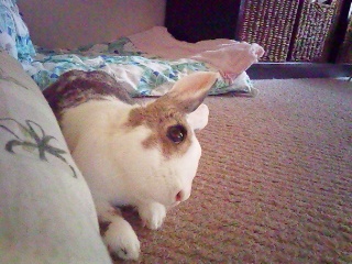 寄せてみた(笑)