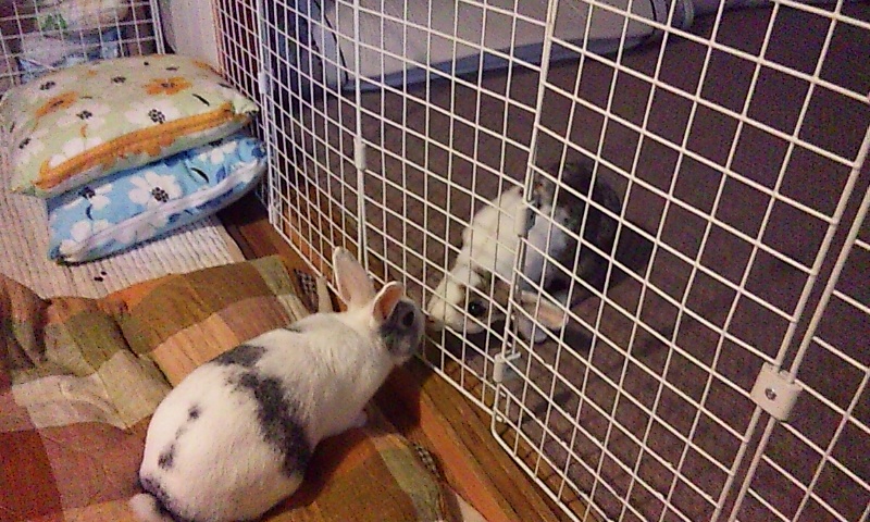 にいちゃん、あのね♪