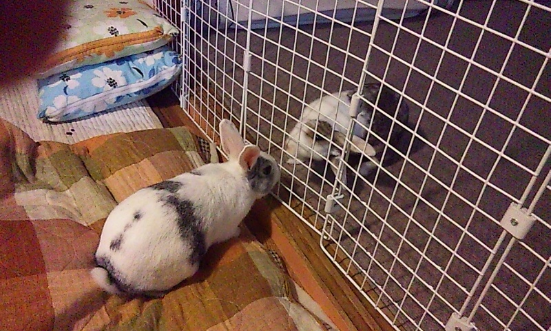 そっち行きたいかも…