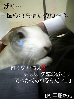 usagi 439.jpg