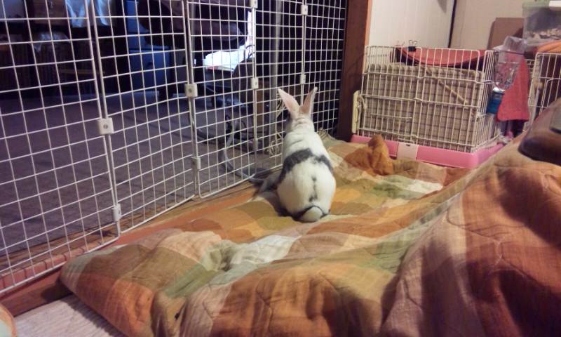 また、見てる…