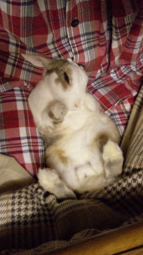 いやぁ~ん(//∇//)