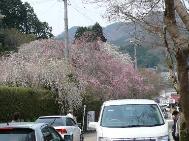 大野寺.JPG