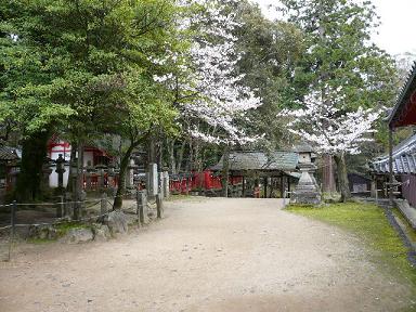 手向山八幡宮.JPG