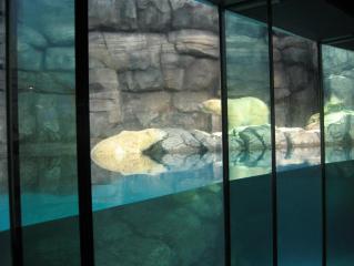 IMG_6697.JPG