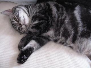 IMG_7032-1.jpg