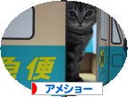 にほんブログ村 猫ブログ アメショーへ