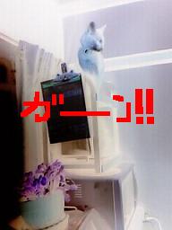 ﾚﾝｼﾞ台の上4.JPG