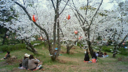 蛇ケ谷公園花見09032906