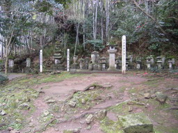 泰勝寺梅見「墓地」