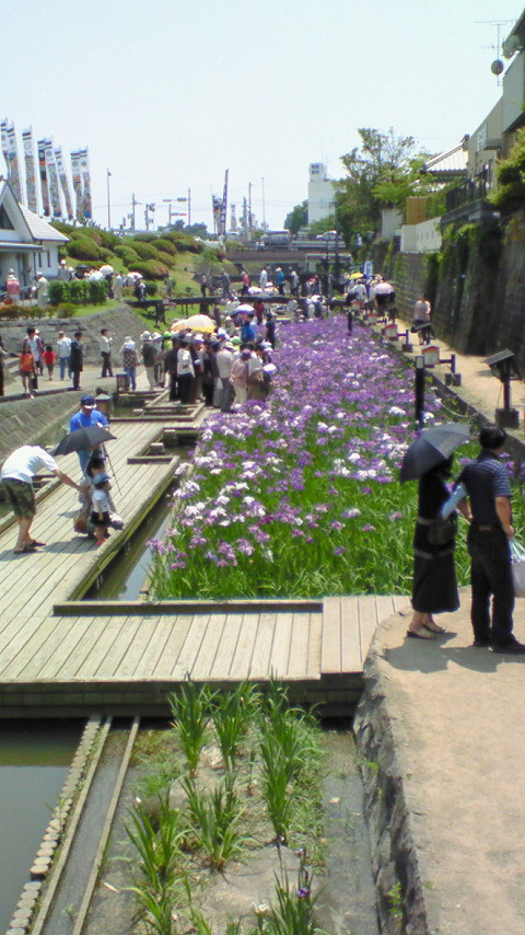 高瀬裏川0915