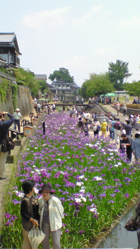 高瀬裏川0916