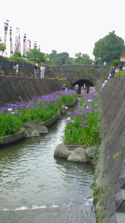 高瀬裏川0914