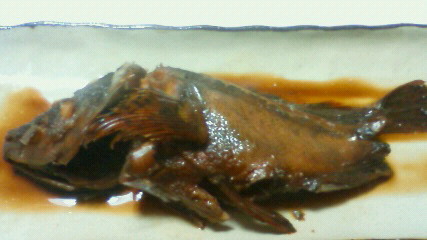 三角港釣り第3弾09012410