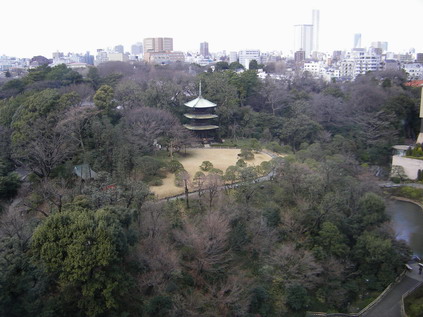 FSH庭園・客室より