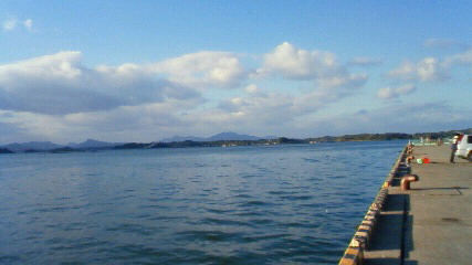 三角港釣り第13 弾081129・ 30-7