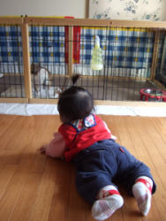 ワンワン、いい子にしていますか！？