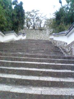 sanpo1