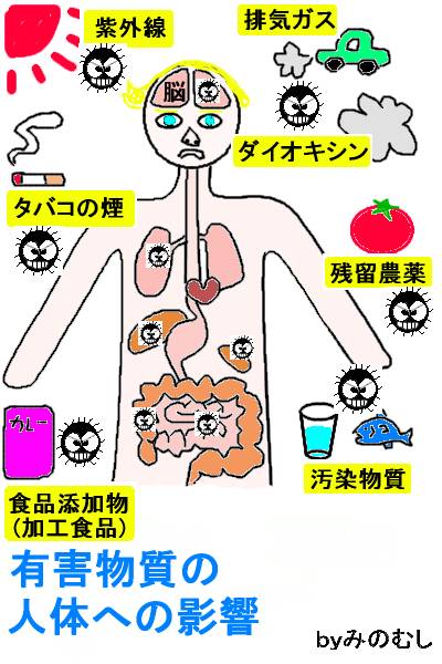 有害物質の人体への影響