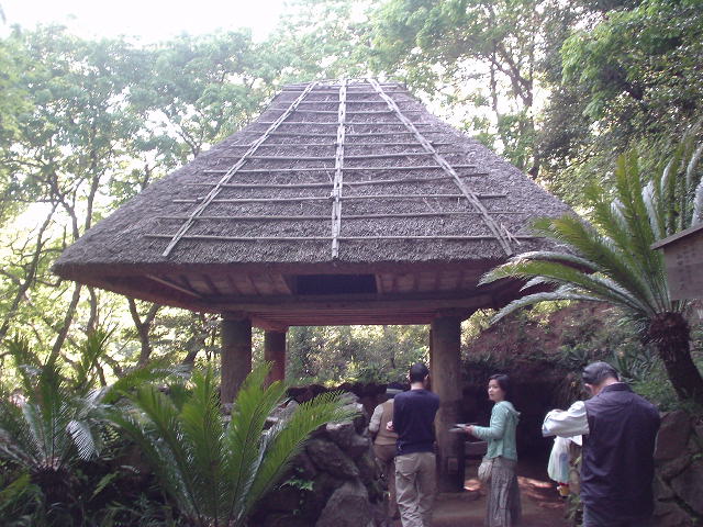 日本民家園沖縄のポリネシア