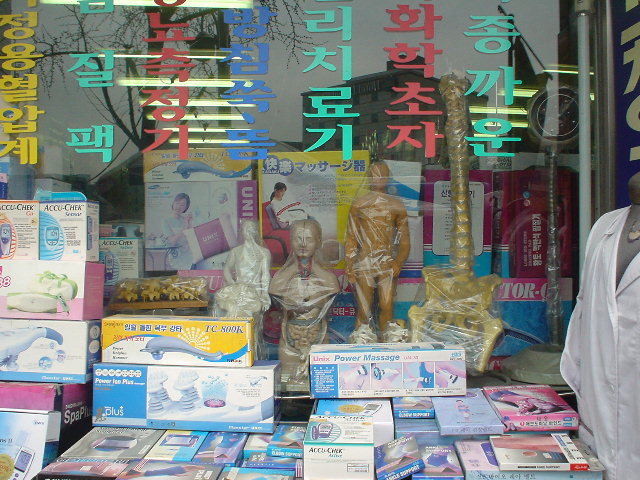 SEOULの人体模型