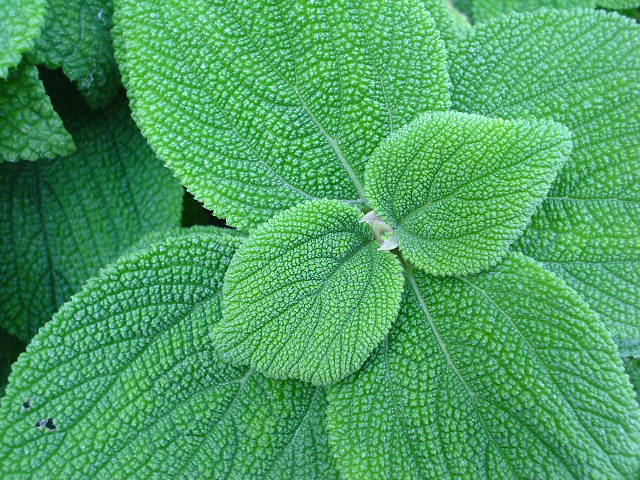 20th Oct 2007 (28).JPG