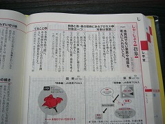 表現読解国語辞典
