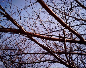 写真2