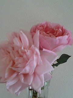 あんぶりっじ080217-2