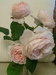 あんぶりっじ080523-3