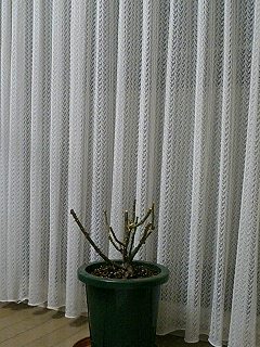 あんぶりっじ080224