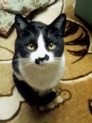 ネロ・カメラ目線？