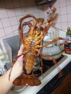 伊勢エビ