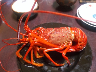 伊勢エビ