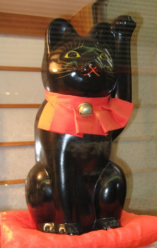 新京極のお店の猫02-M.jpg
