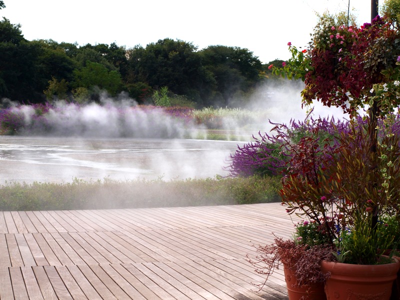 フラワーパーク江南