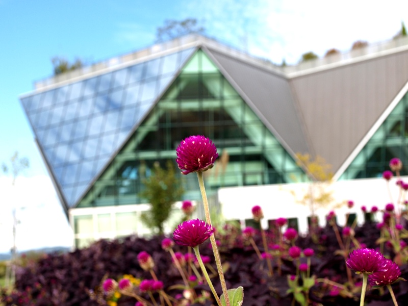 フラワーパーク江南